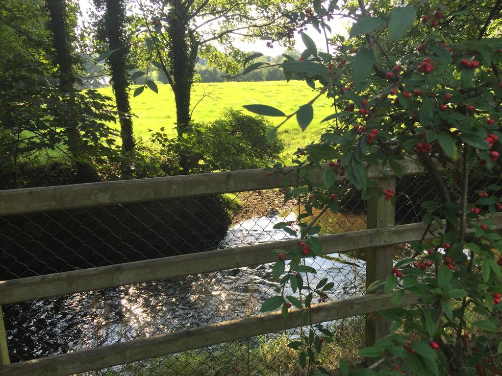 Riverbank, Country Pub And Guesthouse Carrickmacross Exteriér fotografie