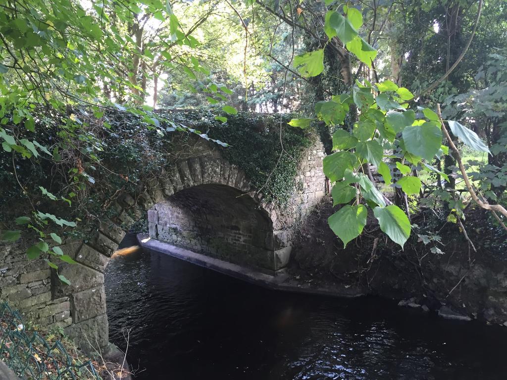 Riverbank, Country Pub And Guesthouse Carrickmacross Exteriér fotografie